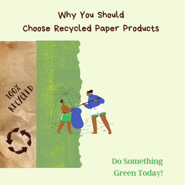 Why Choose Recycled paper products
