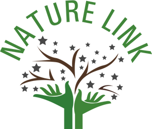 THE NATURE LINK STORE