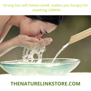 Natural Lemon Grass (1) - 4 oz Bar Soap Vegan Eco-Friendly with Exfoliating Bag