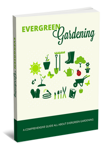 Green Thumbed Evergreen Gardening 101